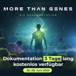 Dokumentation 